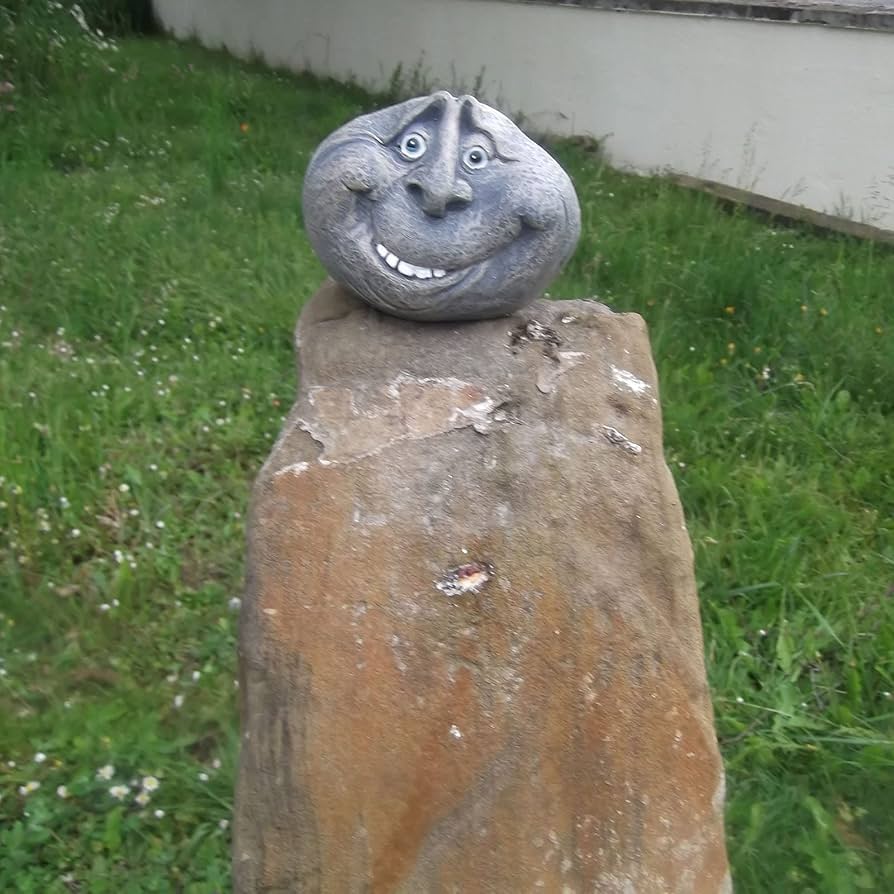 713xHa-6mUL._AC_UF894,