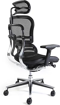 Amazon.co.jp: 【旧型】 エルゴヒューマン ベーシック オフィスチェア