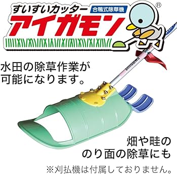 71t4-p-tWwL._AC_UF350,