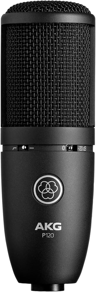 Amazon.com: AKG Pro Audio P120 - Affordable 2/3-Inch Diaphragm