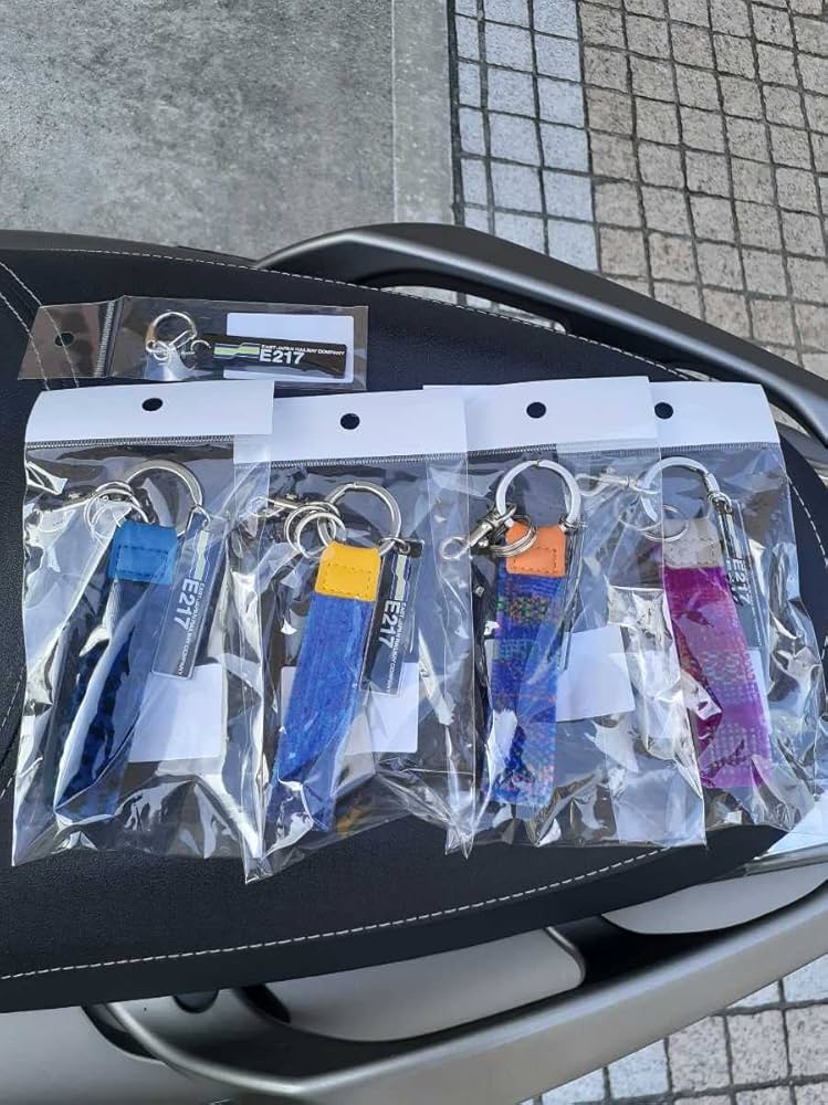 Amazon.co.jp: ! JR東日本 E217系モケットキーホルダー&ロゴ