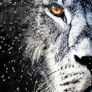 Amazon.co.jp: クリスタルアート ライオンEX アートパネル 80x50cm