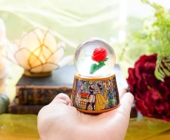 71tSRKOM60L._AC_UF350,