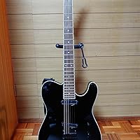 Amazon | FERNANDES フェルナンデス エレキギター TEJ-STD 2S '19 BLK