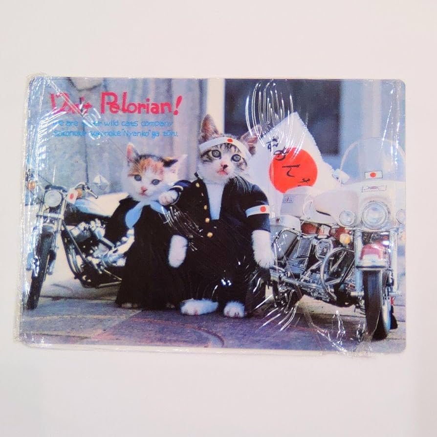 Amazon.co.jp: なめ猫 レトロ なめんなよ猫 下敷き ！ : ペット用品