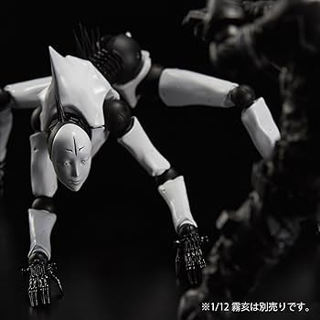 Amazon.co.jp: 1/12 駆除系 1/12スケール PVC&ABS製 塗装済み 可動