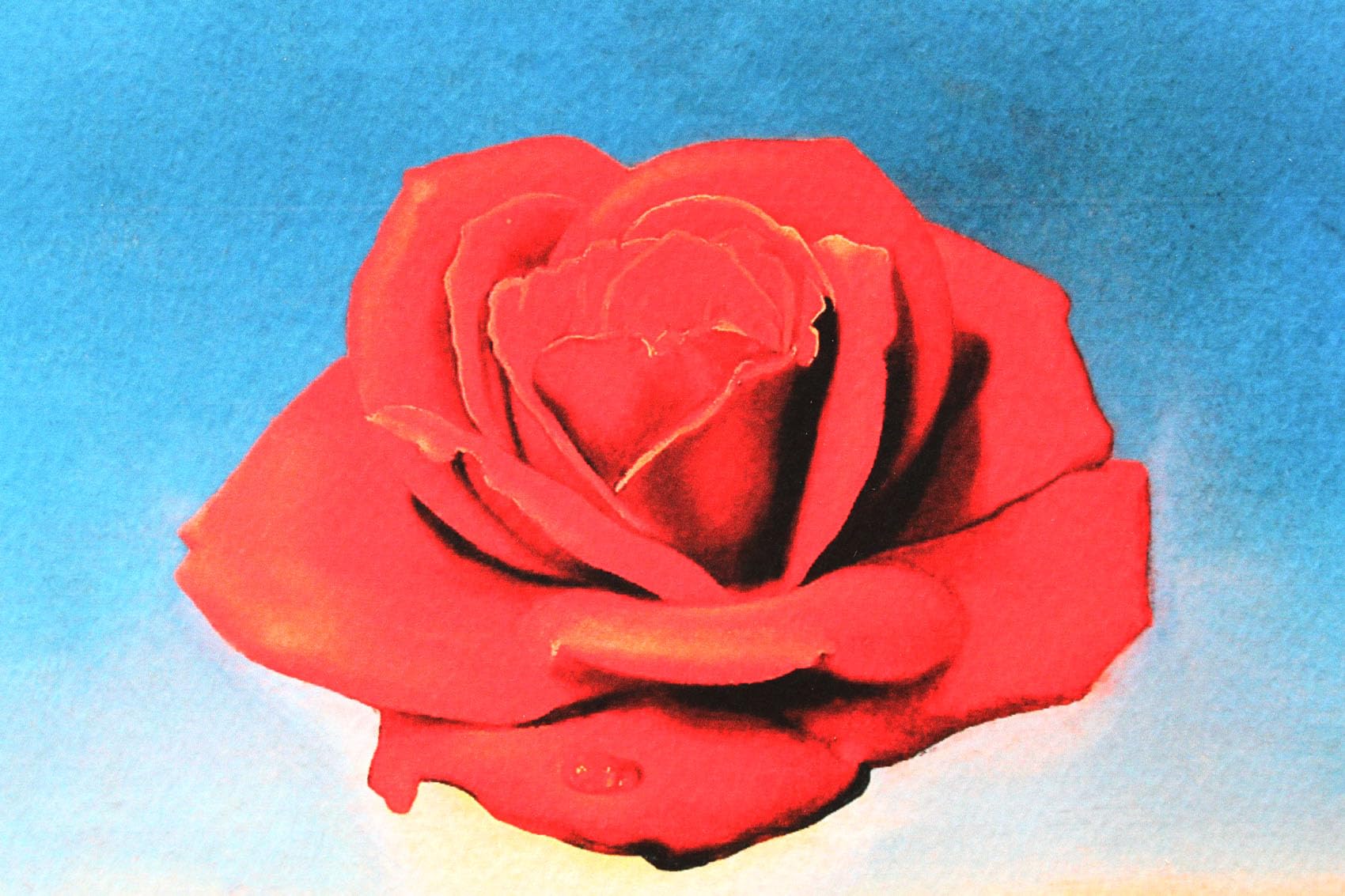 Amazon.co.jp: アートショップ フォームス サルバドール ダリ「瞑想