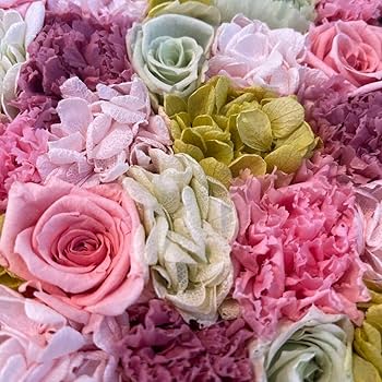 Amazon.co.jp: ニコライバーグマン プリザーブドフラワー フラワー