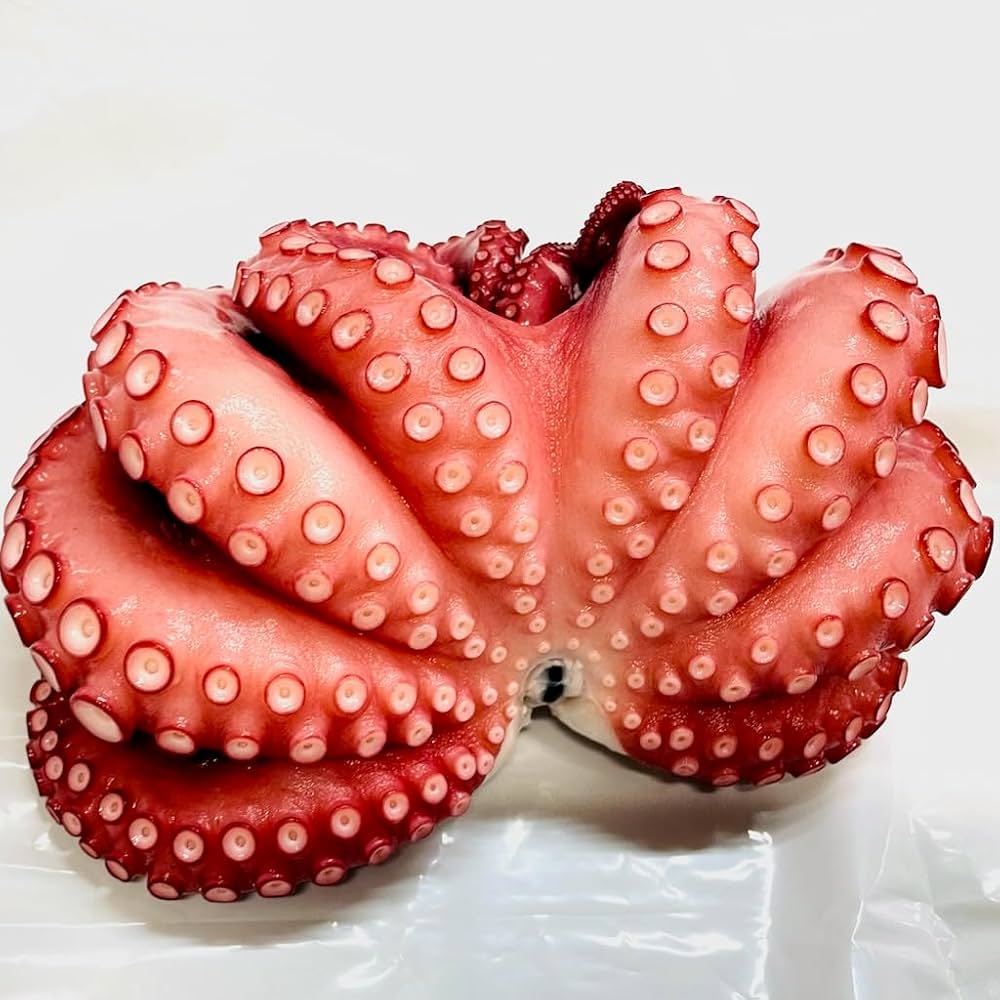 Amazon.co.jp: 真蛸 冷凍たこ (ボイル済み)1杯(約400g) 【生食用・刺身