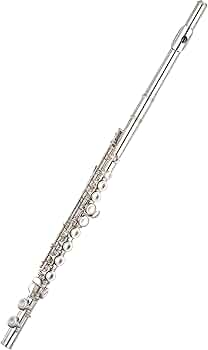 71u8vN9zgJL._AC_UF350,