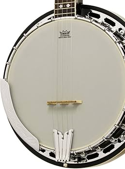 Amazon.co.jp: ARIA SB-40 5弦バンジョー アリア : 楽器・音響機器