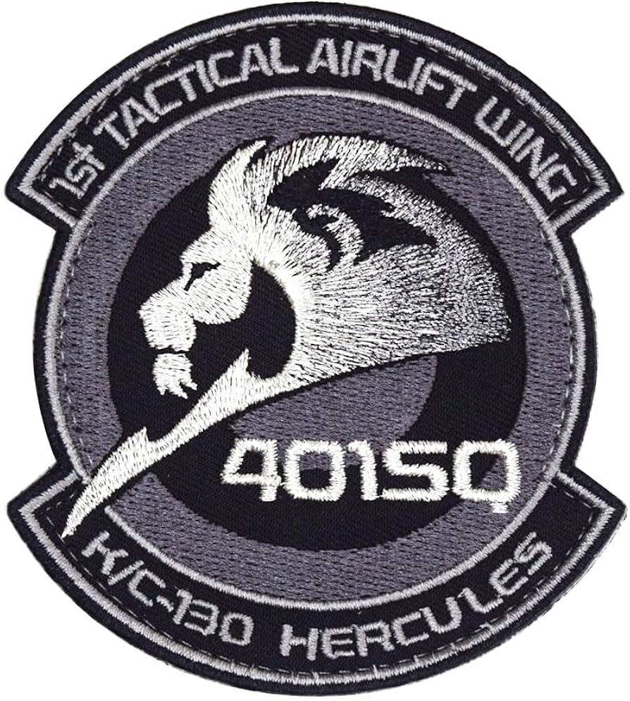 Amazon.co.jp: 航空自衛隊 小牧基地 第401飛行隊 パッチ 刺繍 両面