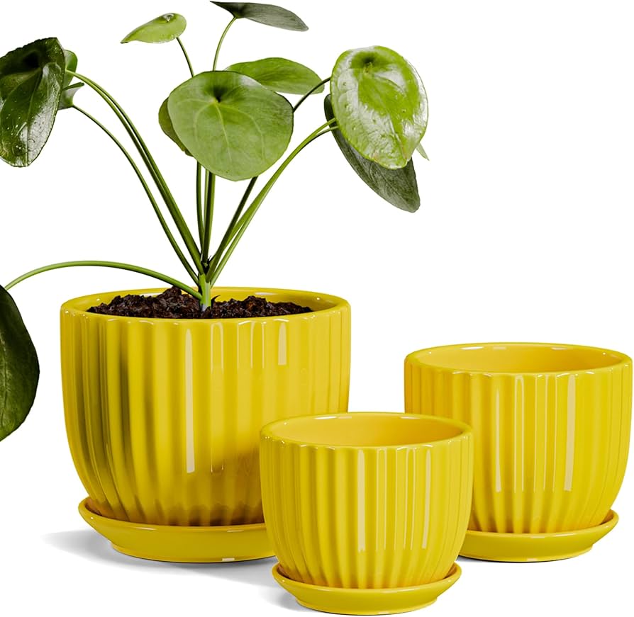 Amazon.com: Ton Sin Ceramic Flower Pots,Yellow Plant Pots for