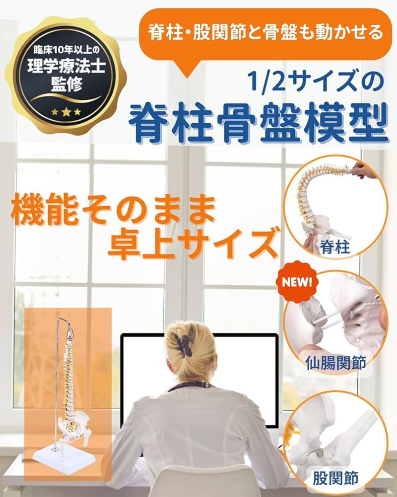 Amazon.co.jp: KIYOMARU 1/2サイズなのに高精度かつグニャと背骨を