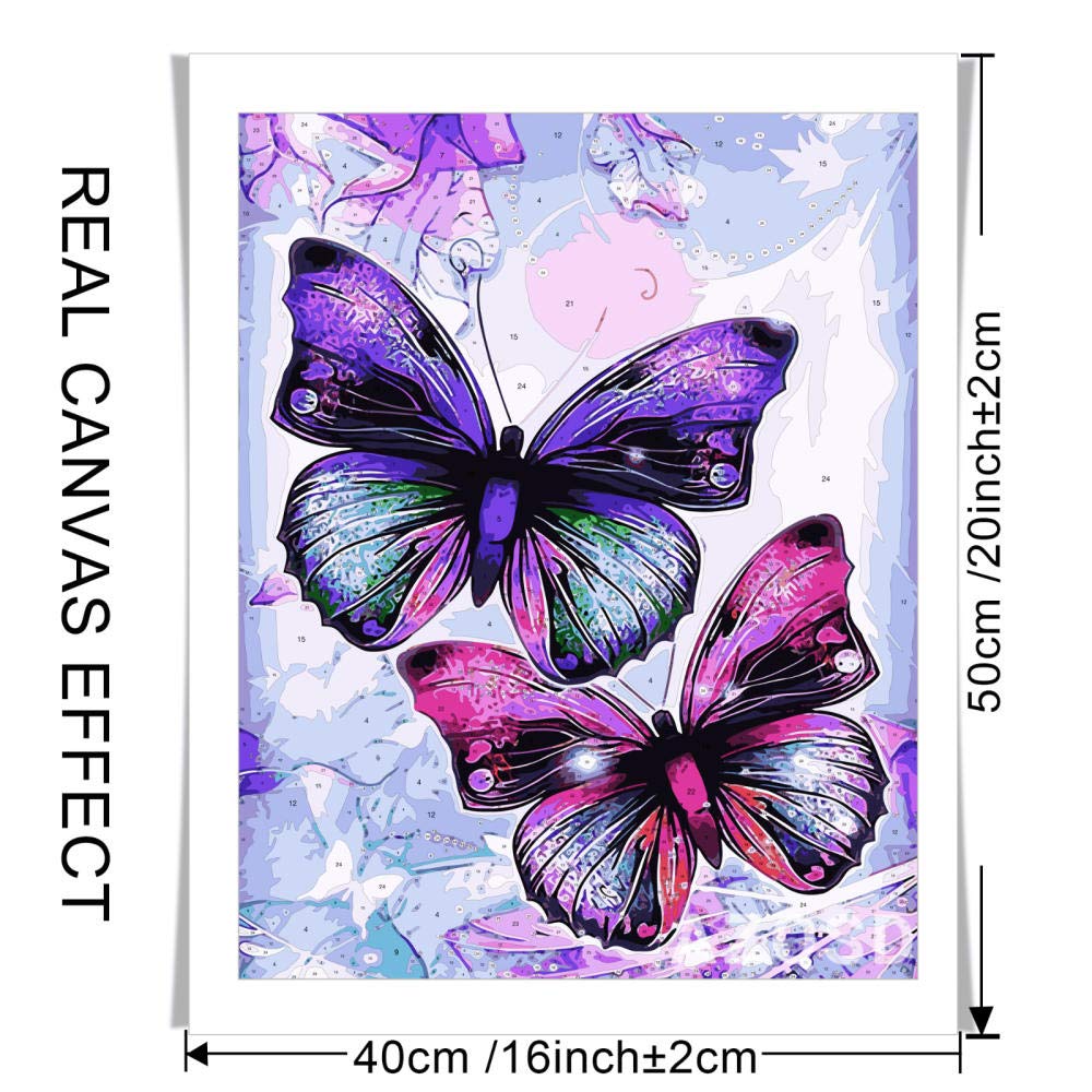 Amazon.co.jp: 数字で描くアクリル絵の具蝶の家の装飾フレームレス油絵