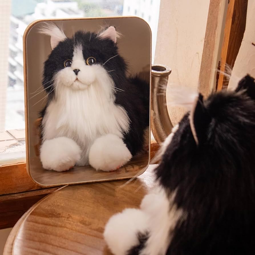 Amazon.co.jp: Chongker 猫ぬいぐるみ リアル 本物そっくり