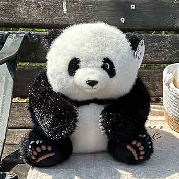 71wCUaViJCL._AC_UF350,