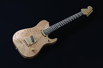 Amazon | ワッシュバーン USAカスタムショップ 6弦ソリッドボディ