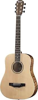 71whHuP13SL._AC_UF350,