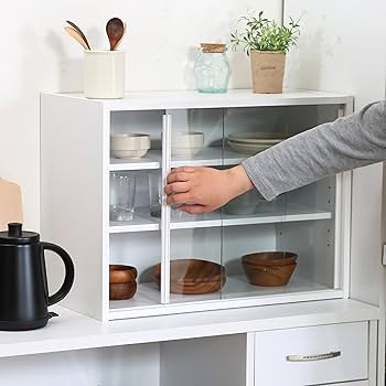 71x2bRLqebL._AC_UF350,