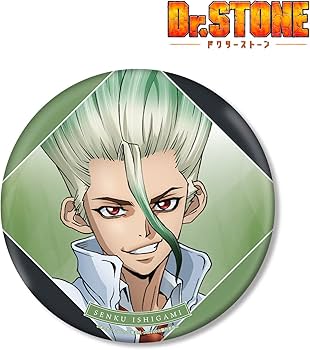 Amazon.co.jp: Dr.STONE 描き下ろしイラスト 石神千空 石化前ver. BIG