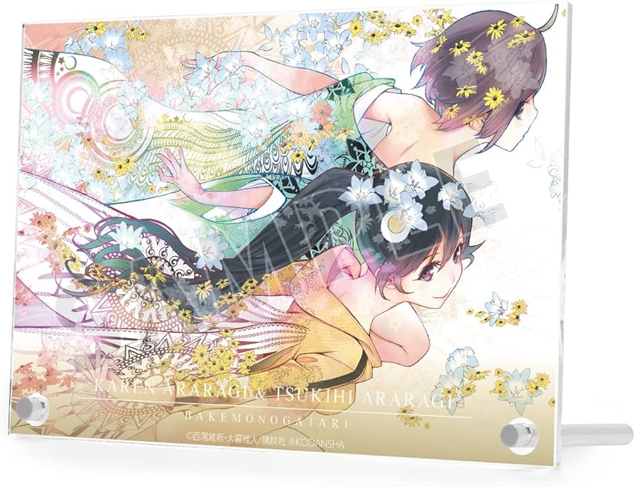 Amazon.co.jp: 漫画『化物語』 阿良々木火憐&阿良々木月火 特装版8巻