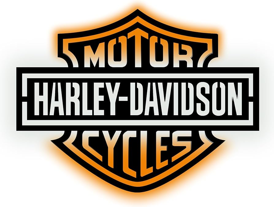 Amazon.com: LED Motorcycle Wall Art, Metal Sign with Ambient