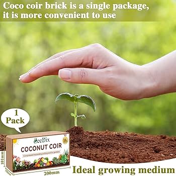 Amazon.com : ZeeDix 1 Pack Coco Coir Brick, 100% Organic