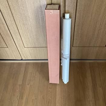 Amazon.co.jp: 赤達磨 絹本彩色画 赤達磨図 一喝賛 掛軸一幅 517 た