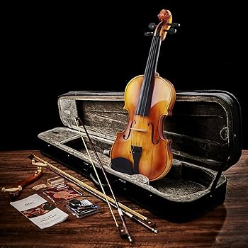 Amazon | Eastarバイオリン 4/4 単板 ソリッド 弓2本 初心者にも上級の