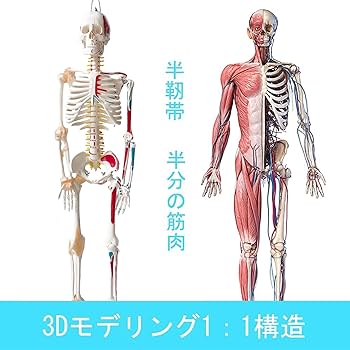 71yfoZvwTML._AC_UF350,