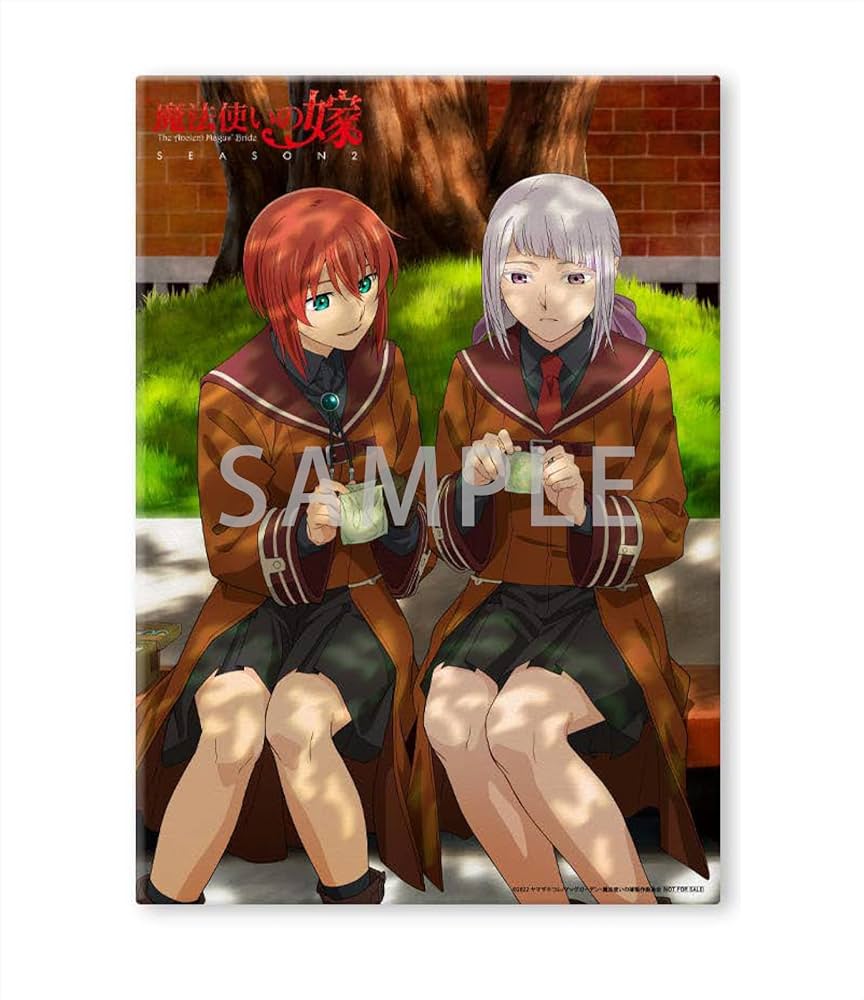 Amazon.co.jp: 【Amazon.co.jp限定】魔法使いの嫁 SEASON2 第4巻 (数量