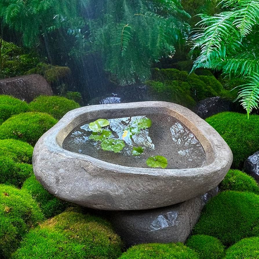 Amazon.co.jp: つくばい 蹲 手水鉢 石 (S) 鉢 水鉢 睡蓮鉢 スイレン鉢