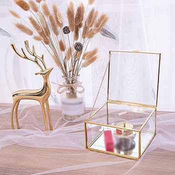 Amazon｜TMOQITO アクセサリー入れ ガラスケース 四角 おしゃれ 小物