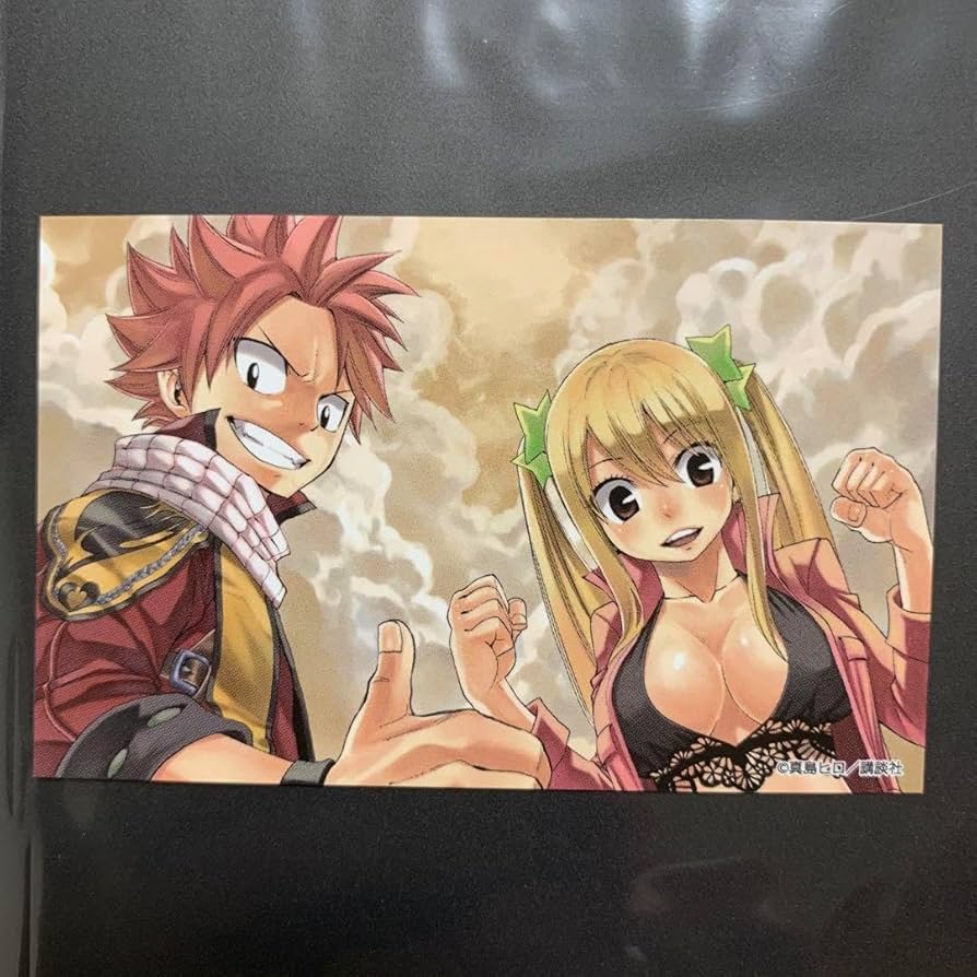 Amazon.co.jp: フェアリーテイル ナツ ルーシィ イラストカード : おもちゃ