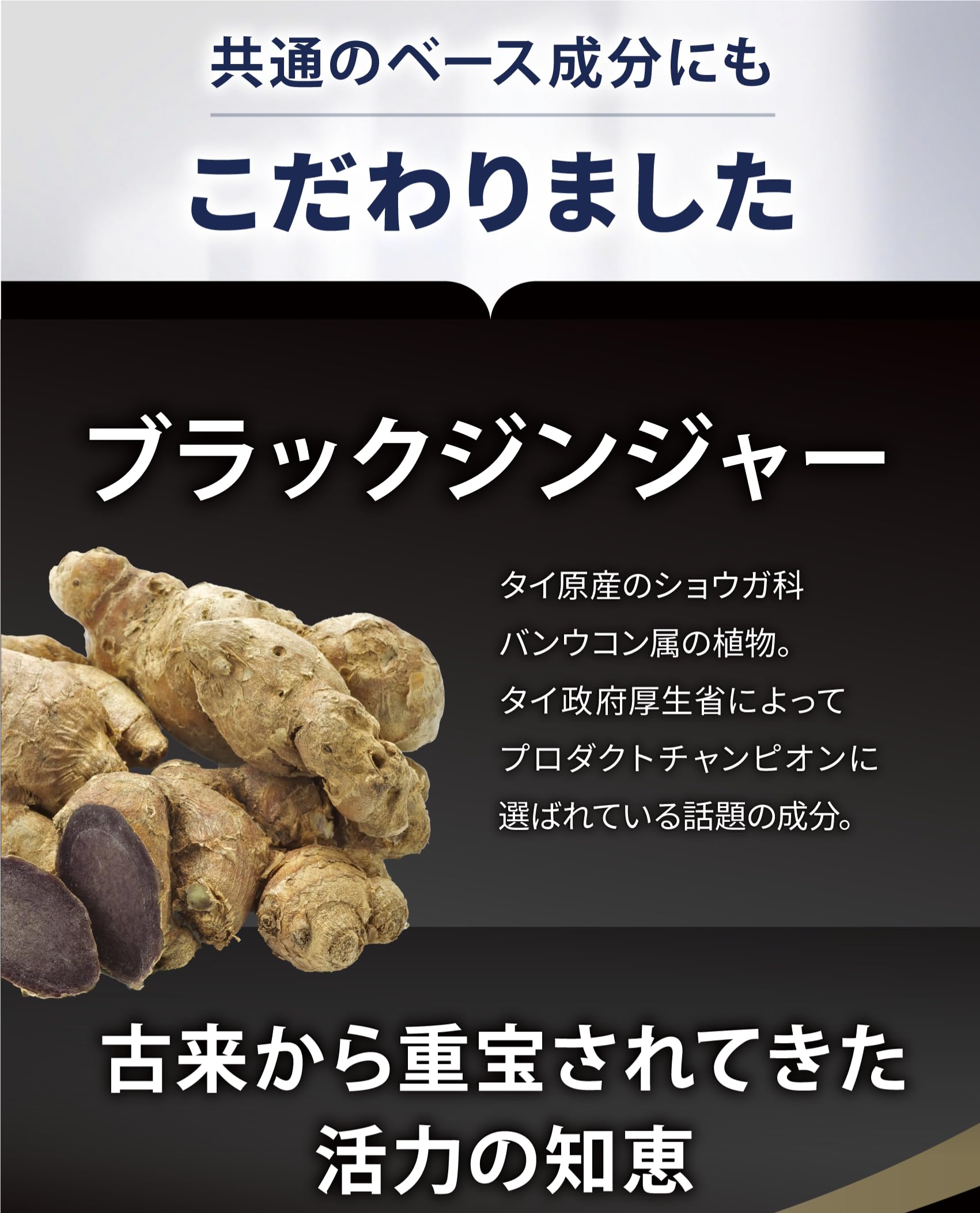 Amazon | 遺伝子博士ダイエットサプリ30日分 脂質博士 ブラック