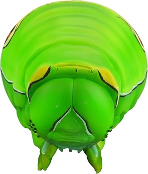 Amazon.co.jp: ソフビトイボックス007 イモムシ ナミアゲハ 5令幼虫