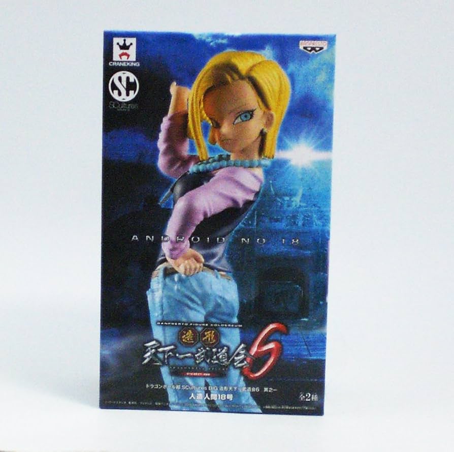 Amazon.co.jp: ドラゴンボール超 SCultures BIG 造形天下一武道会6 其