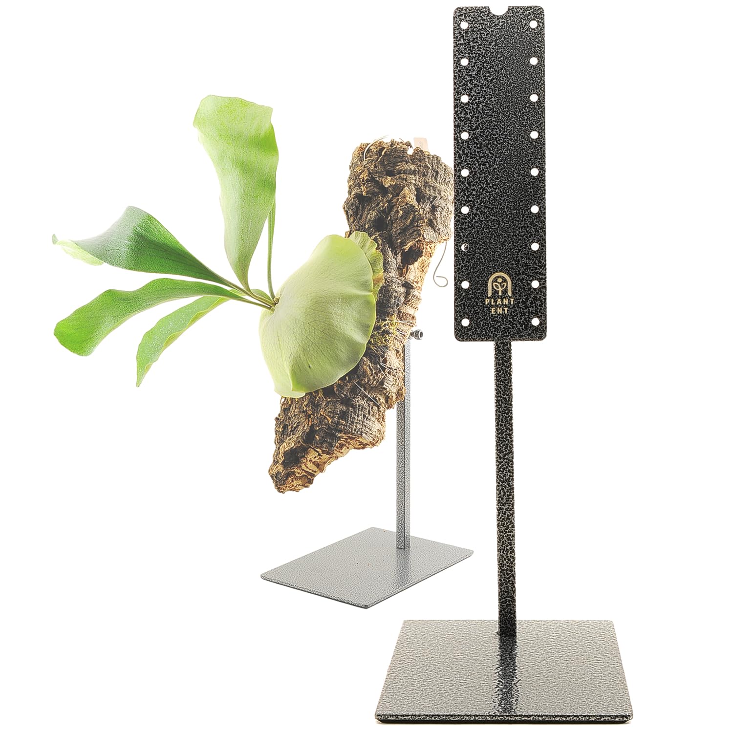Amazon | PLANTENT 植物ディスプレイスタンド T.P.Stand ビカクシダ