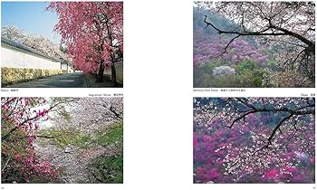 SAKURA The Japanese Soul Flower【桜オールカラー英文日本写真集