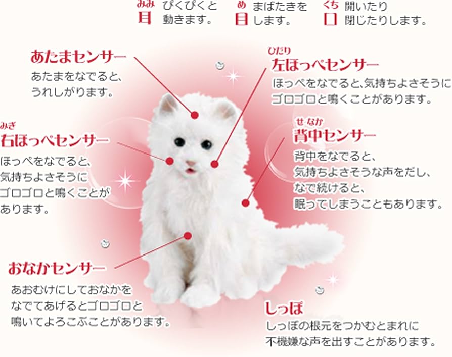 Amazon.co.jp: 夢ねこセレブ : おもちゃ