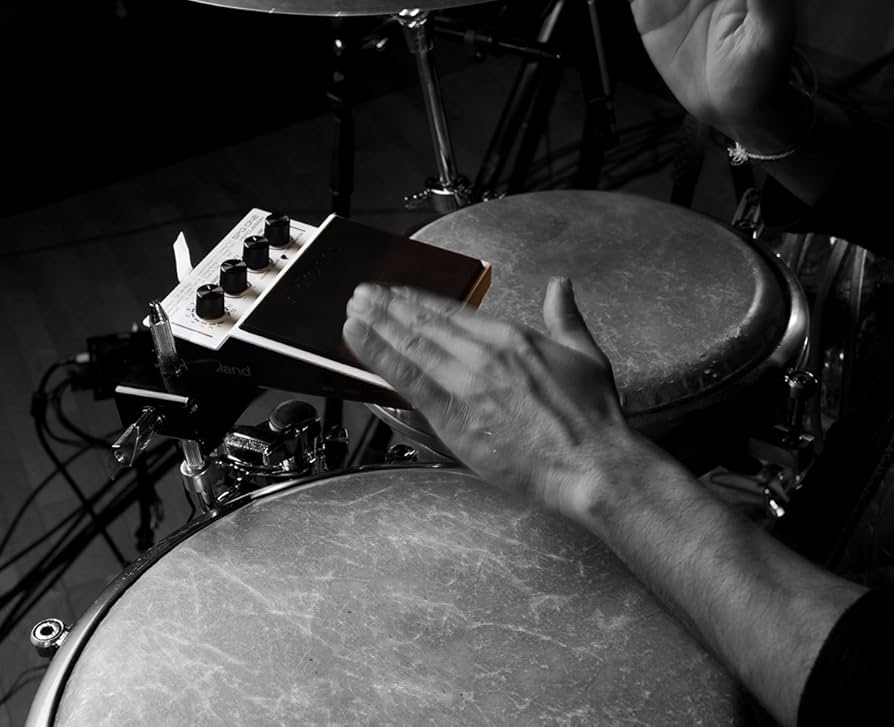 Amazon.com: Roland Percussion Electronic Drum Pad, Percussion (SPD