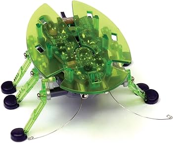 Amazon | HEXBUG ヘックスバグ カブトムシ (※1個・お色はおまかせ