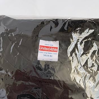 Amazon.co.jp: ちゃんみな Tシャツ Lサイズ BIJIN 美人 ロンT : おもちゃ