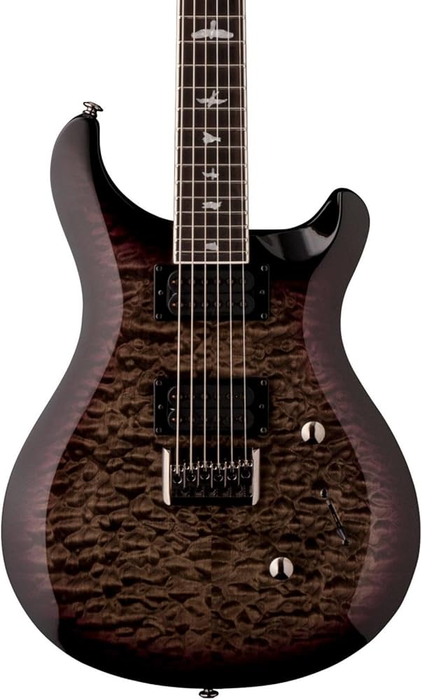 Amazon.com: PRS Paul Reed Smith SE Mark Holcomb Electric Guitar