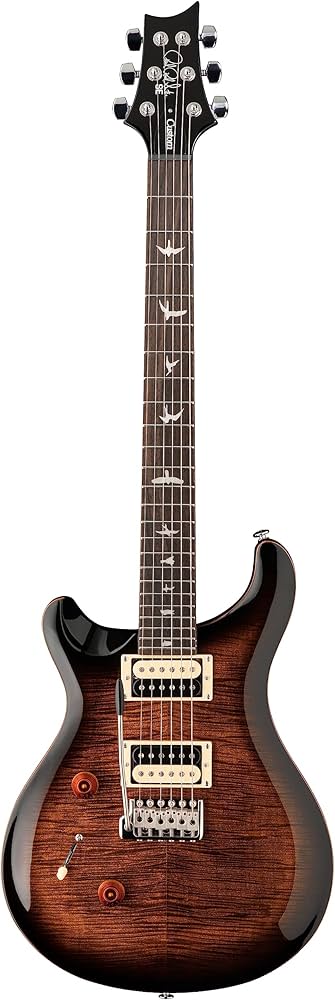 Amazon | SE Custom24 Black Gold Burst | エレキギター | 楽器・音響機器