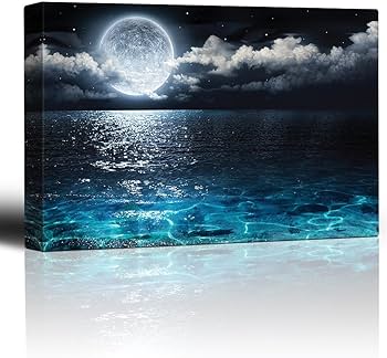 Amazon.co.jp: レモンツリーART お月キャンバスアートパネル お月見 海