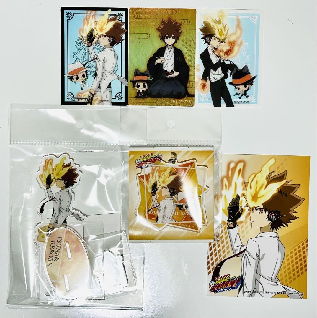 Amazon.co.jp: 家庭教師ヒットマンREBORN ツナ 沢田綱吉 セット : ホビー