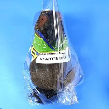 Amazon.co.jp: 稀少 ハーツクライ 競馬 ぬいぐるみウマ娘アイドル