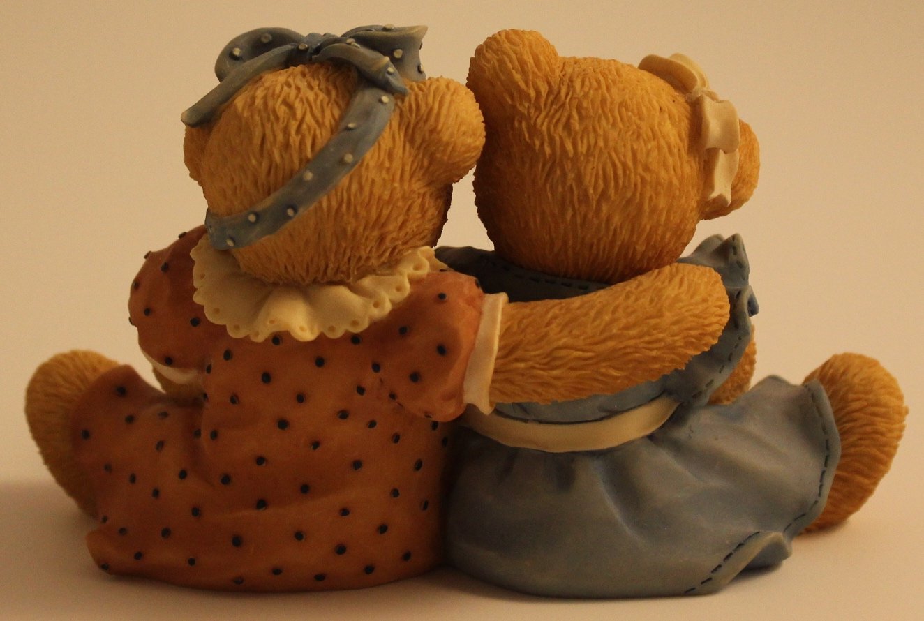 Amazon.com: Cherished Teddies 1999 Roxie And Shelly 601586 : 玩具
